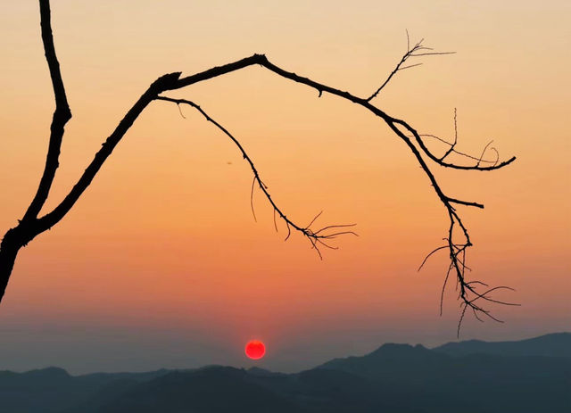 景邁山｜雲南最後的秘境，雲海古寨治癒一切