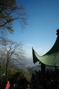 莫干山蔣公古道反穿10KM|楓葉超美