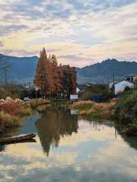 行者遊記|寧波黃金大道東錢湖Zui上鏡銀杏林