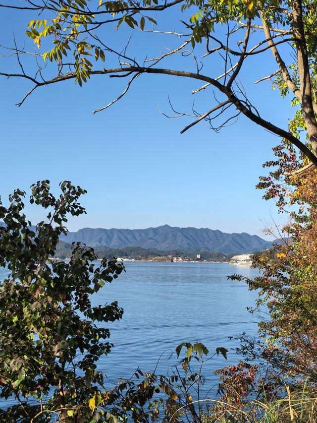 千島湖不登島不進景區直接酒店躺平…