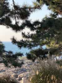 青島冬日Seawalk新路線太平角公園拍照攻略Get!