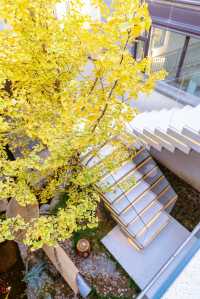 西安住獨棟別墅,一腳踩進「古今結界」裡