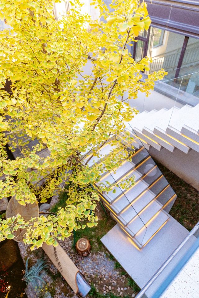 西安住獨棟別墅,一腳踩進「古今結界」裡 西安住獨棟別墅,一腳踩進「古今結界」裡