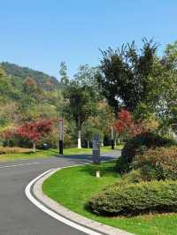 冬日宜興|住進山水畫裡的治癒酒店