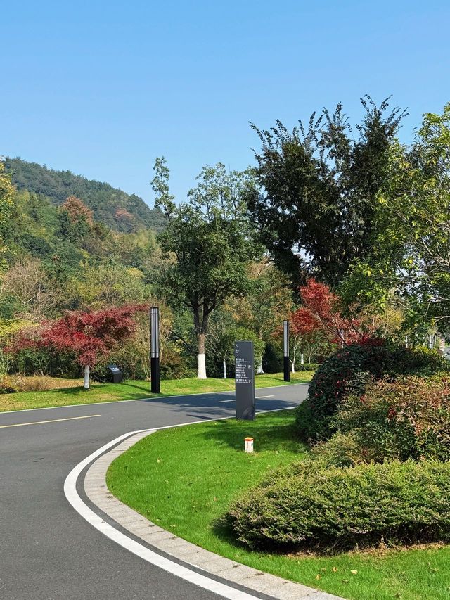 冬日宜興|住進山水畫裡的治癒酒店 冬日宜興|住進山水畫裡的治癒酒店