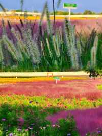 宿遷三臺山絕美仙境98%森林覆蓋超治癒！