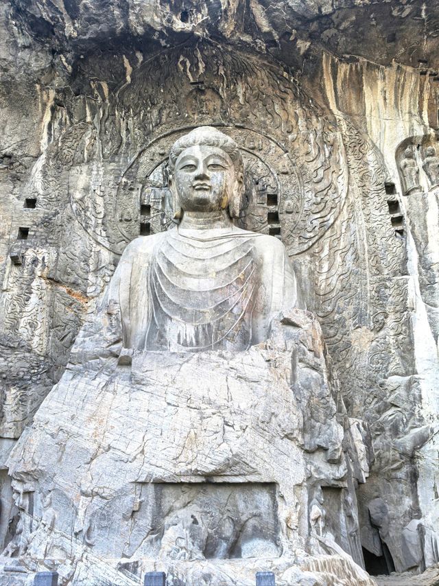 警告!別輕易與他對視——龍門十七米佛顏殺! 警告!別輕易與他對視——龍門十七米佛顏殺!