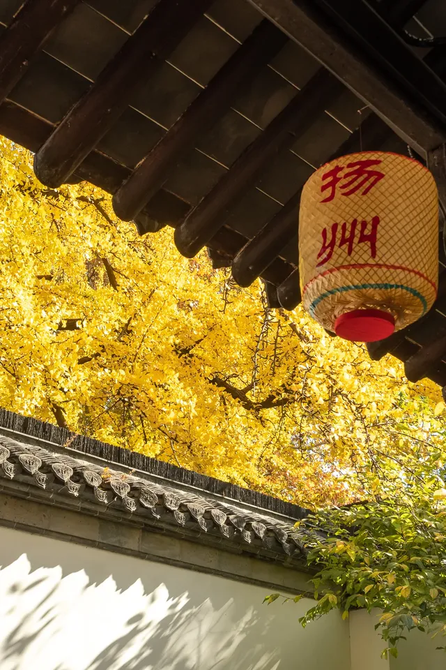 揚州的秋色真的值得專程去一趟