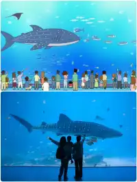 在漫天煙花下坐旋轉木馬，五天四晚玩不夠！