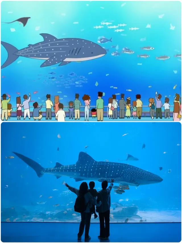 在漫天煙花下坐旋轉木馬，五天四晚玩不夠！