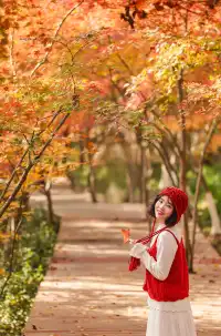 12·1南京棲霞山紅楓進入觀賞期～附路線～