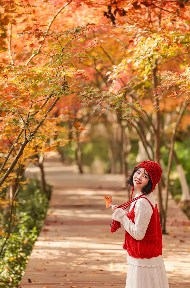 12·1南京棲霞山紅楓進入觀賞期～附路線～