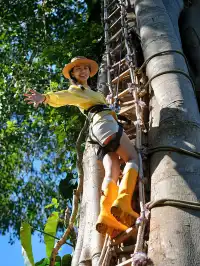 當一天“野孩子”｜鑽進了熱帶雨林