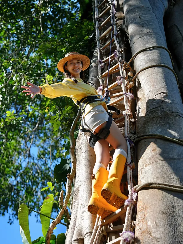 當一天“野孩子”｜鑽進了熱帶雨林