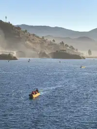 被瀘沽湖美鼠！12.4實拍！