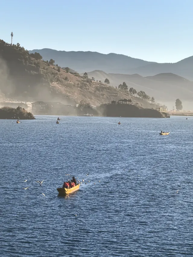 被瀘沽湖美鼠！12.4實拍！