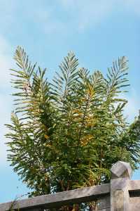 福州|尋訪尚乾,這座古塔太寶藏了