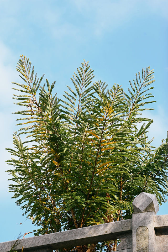 福州|尋訪尚乾,這座古塔太寶藏了 福州|尋訪尚乾,這座古塔太寶藏了