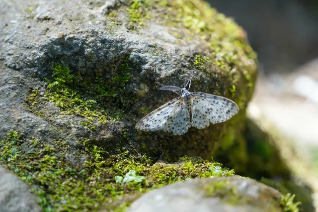 崇左遛娃小記 崇左遛娃小記