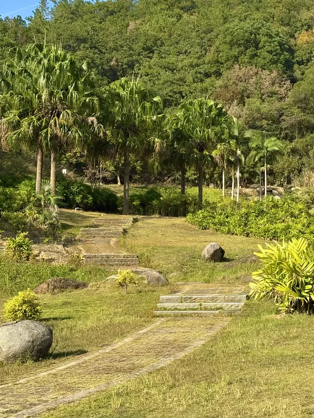 不敢相信這是泉州!?發現適合發呆躺平的好去處 不敢相信這是泉州!?發現適合發呆躺平的好去處