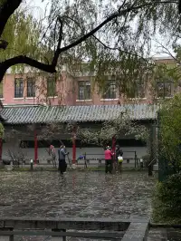 老舍：上帝把秋和冬全賜給了濟南