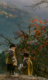 溫州市區1h達這個免費古村,柿子正紅透