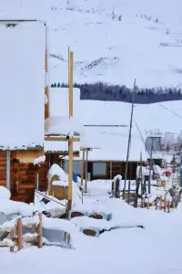 拒絕阿勒泰打卡團！這才是舒服的深度遊！