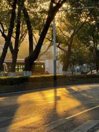 清涼山公園才是金陵賞秋天花板!