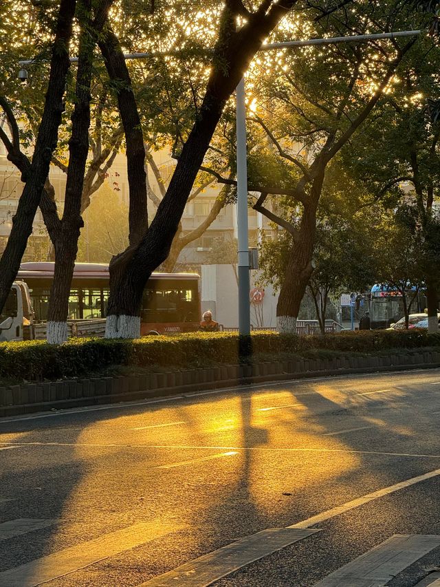 清涼山公園才是金陵賞秋天花板! 清涼山公園才是金陵賞秋天花板!