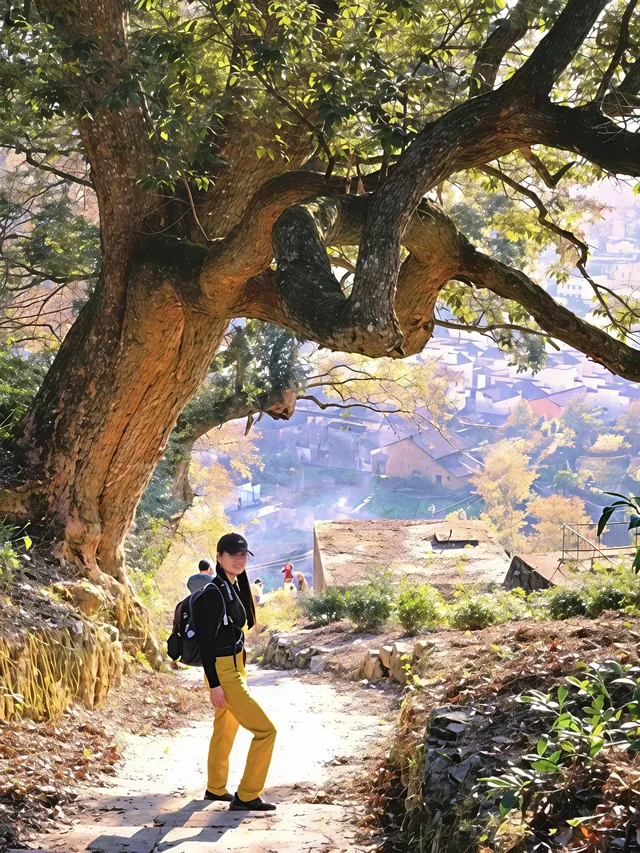 常州出發|12徒步爬山計劃!共69條 常州出發|12徒步爬山計劃!共69條