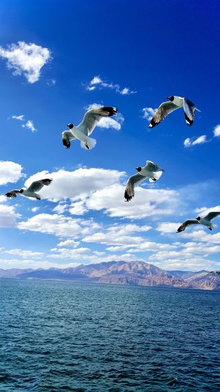 Tibet Travel Must-Visit Guide