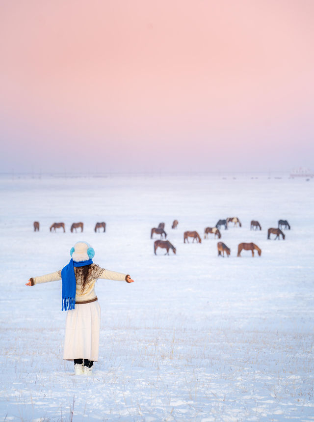 純白童話呼倫貝爾 純白童話呼倫貝爾