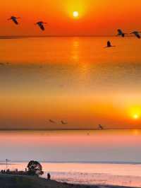 候鳥同框神仙酒店