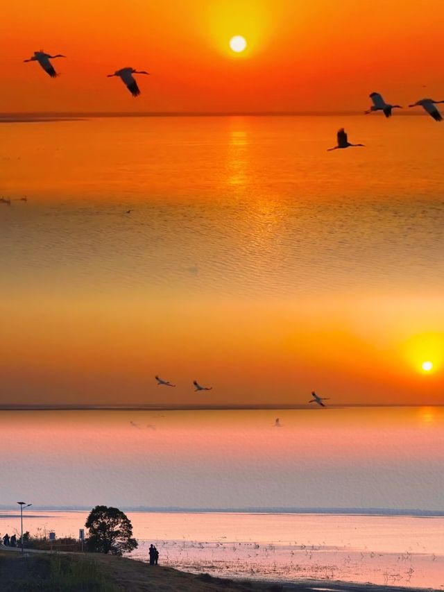 候鳥同框神仙酒店 候鳥同框神仙酒店