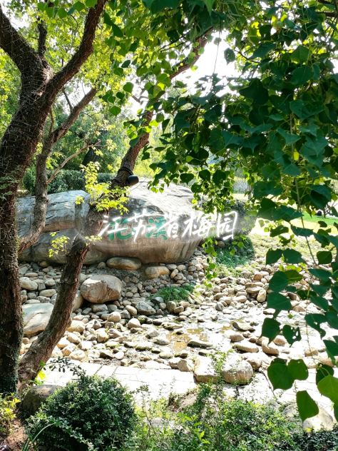 江蘇無錫梅園｜4月の春の散策完全ガイド、江南の春のロマンが詰まった 