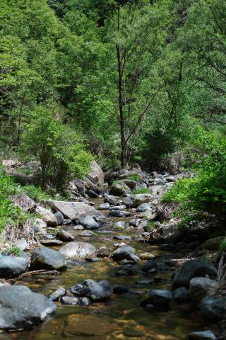 石家荘平山猪囲溝｜最も荒々しく、最も野性的で、最も遠く、最も美しい景区