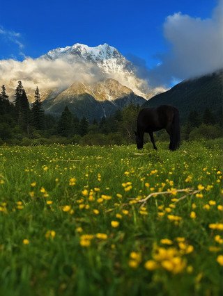 Saya merasa sangat pulih selama liburan musim panas saya ke Prefektur Otonomi Tibet Ganzi dan tempat-tempat lain sehingga saya tidak ingin pergi.