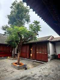 小眾展館這麼玩不迷路