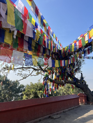 Nepal 9-day tour deep dive with a no-fail itinerary
