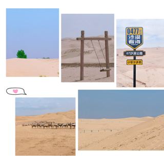 Kubuqi Desert: My Wild, Unforgettable Desert Adventure Trip
