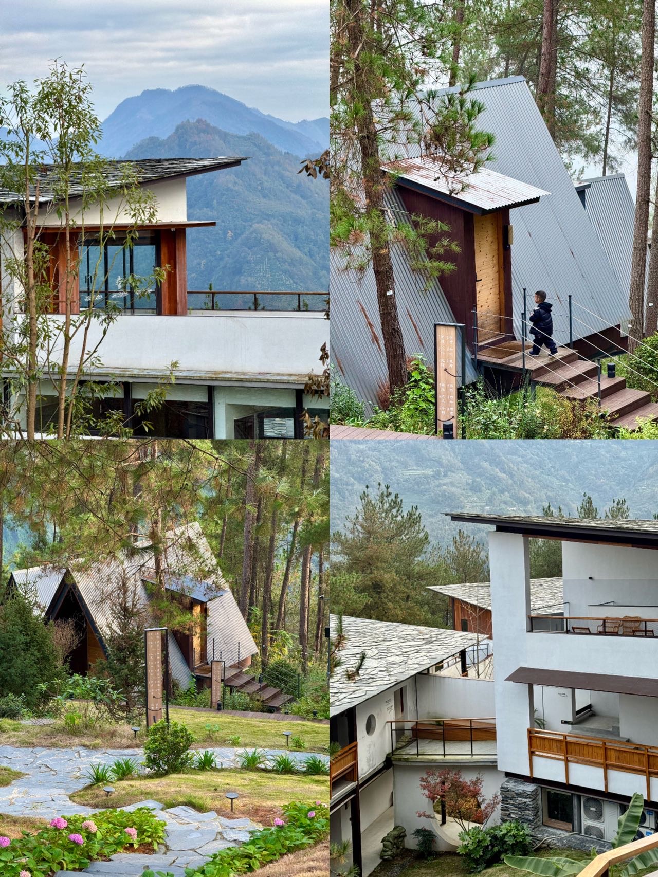 Looking for a spring getaway with the kids near Xi'an? Ziyang Banmu Tea Garden in Ankang is the place to be