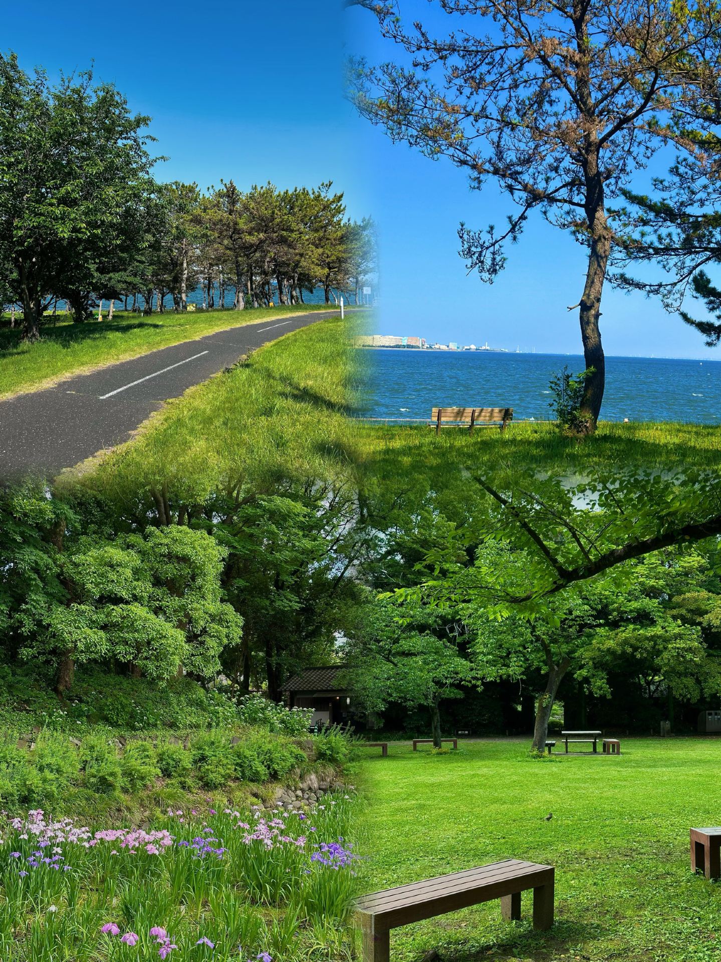 Tokyo đẹp đấy, nhưng tôi sẽ không quay lại nữa vì nó...