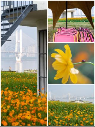 국경절 우한 강변 완벽 가이드! 사람 적고 경치 좋고 불꽃놀이도 볼 수 있어