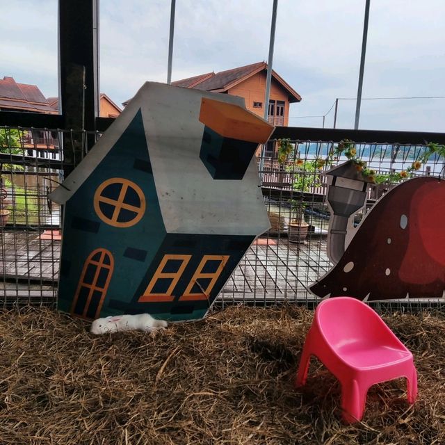 Bukit Merah Pavilion Mini Petting Zoo