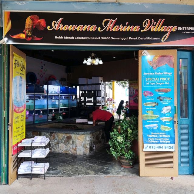 Arowana Marina Village Fish SPA