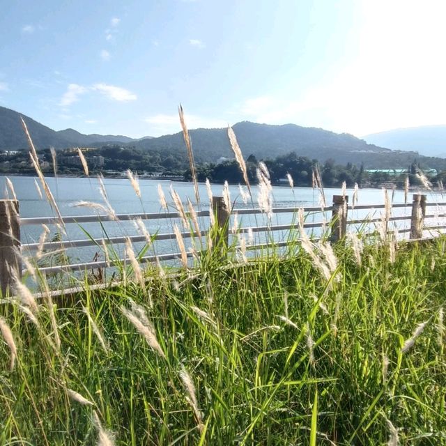 大埔海濱野餐
