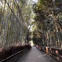 Day trip to Arashiyama- Japan