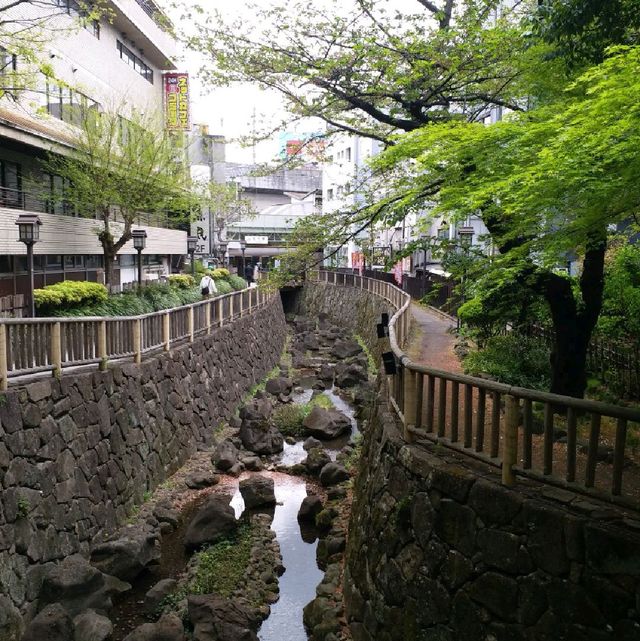 賞櫻名所 飛鳥山公園🌸
