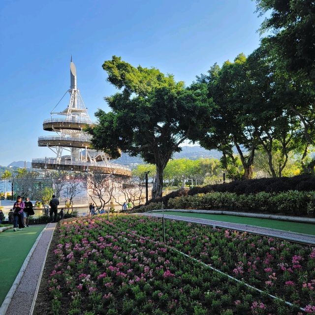 「回歸紀念塔」前的繡球花海🌺🪻🌸🪷