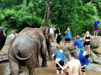 โฮมสเตย์ติดลำธาร ราคาหลักร้อย วิวธรรมชาติสุดๆ